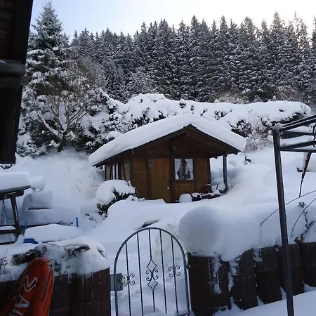 Vakantiehuis Haldenhaeusle Black Forest Titisee-Neustadt