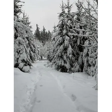 Vakantiehuis Haldenhaeusle Black Forest *