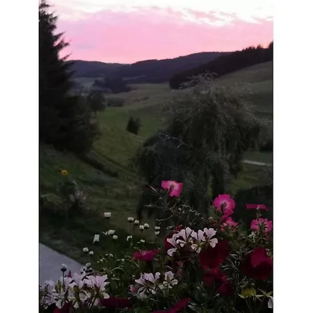 Haldenhaeusle Black Forest Titisee-Neustadt