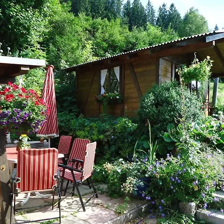 Vakantiehuis Haldenhaeusle Black Forest Titisee-Neustadt