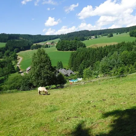 Vakantiehuis Haldenhaeusle Black Forest Titisee-Neustadt