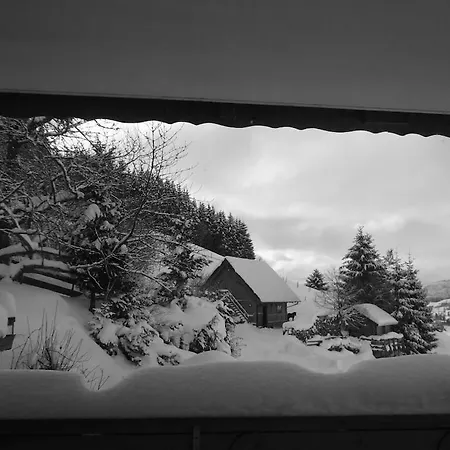 Haldenhaeusle Black Forest * Titisee-Neustadt