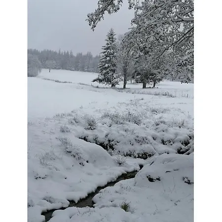 Haldenhaeusle Black Forest