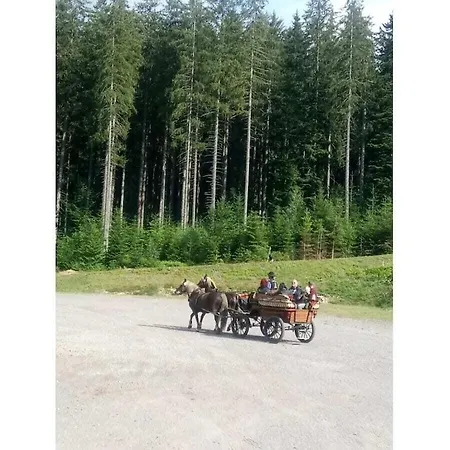 Haldenhaeusle Black Forest *