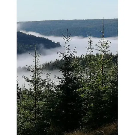 Vakantiehuis Haldenhaeusle Black Forest *