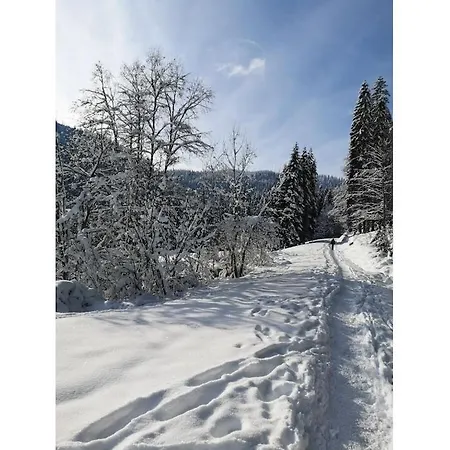 Haldenhaeusle Black Forest Titisee-Neustadt