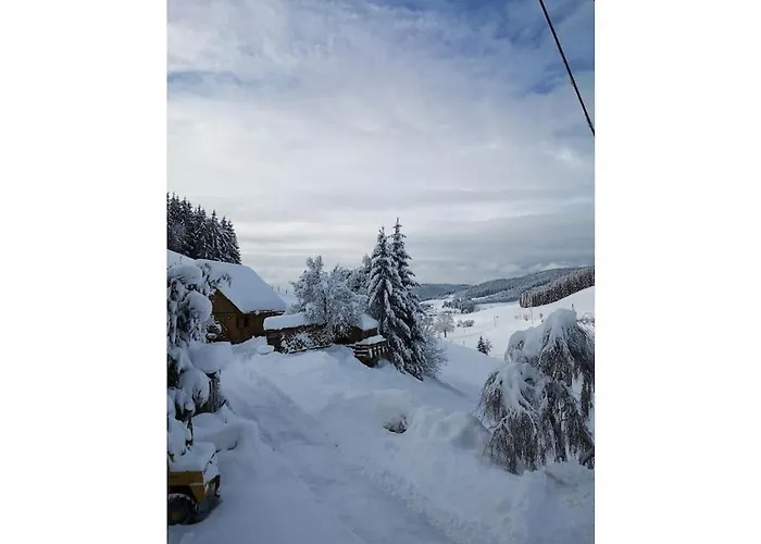 Haldenhaeusle Black Forest *