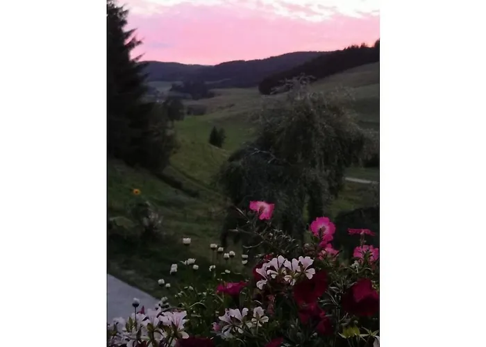 Haldenhaeusle Black Forest Titisee-Neustadt